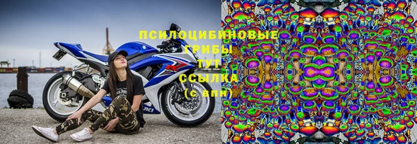 прущая мука Верея