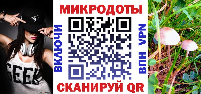 где купить наркоту  Серпухов  Псилоцибиновые грибы Psilocybe 